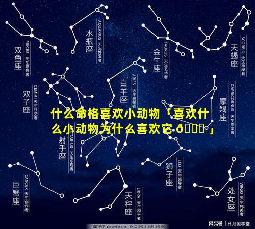 什么命格喜欢小动物「喜欢什么小动物为什么喜欢它 🍀 」